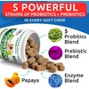 image:imageBARKampSPARK Combo of Dog Probiotics Chews  Calming Hemp Treats  Omega 3 Fish Oil Chews for Dogs  Anxiety Relief  Digestion and Immunity Support  Skin and Coat Supplement