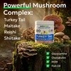 image:imageBARKampSPARK Turkey Tail Mushroom for Dogs  Mushroom Blend Chews  Lumps amp Bumps Lipoma  Reishi Maitake Shiitake amp more  Immune Health Lipoma Treatment Joint Support  Buddy Supplement  Skin Energy  120CtPeanut Butter