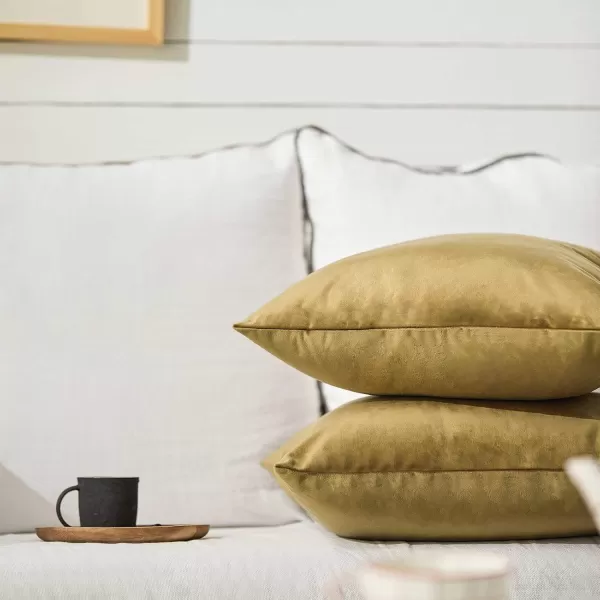 imageFY FIBER HOUSE Pack of 2 Velvet Throw Pillow Covers Christmas Decorative Square Pillowcase Soft Solid Cushion Case for SoFaCouch Use 20 x 20 Inch RedCoffee