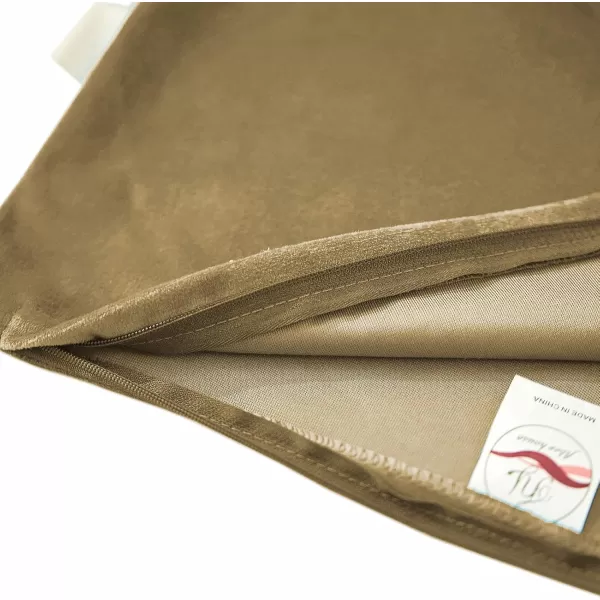imageFY FIBER HOUSE Pack of 2 Velvet Throw Pillow Covers Christmas Decorative Square Pillowcase Soft Solid Cushion Case for SoFaCouch Use 20 x 20 Inch RedCoffee