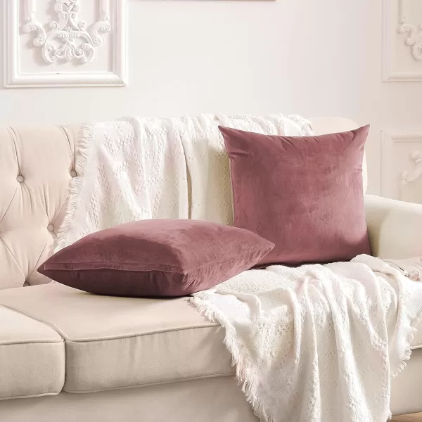 imageFY FIBER HOUSE Pack of 2 Velvet Throw Pillow Covers Christmas Decorative Square Pillowcase Soft Solid Cushion Case for SoFaCouch Use 20 x 20 Inch RedCanyon Rose