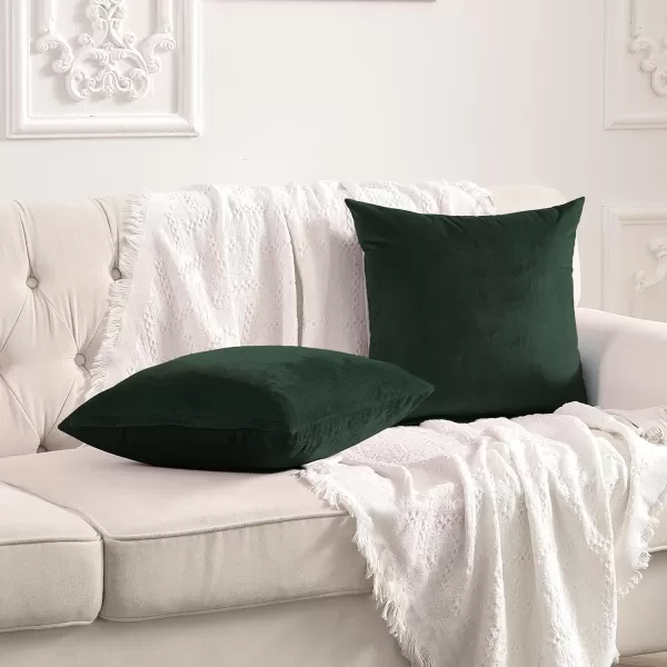 imageFY FIBER HOUSE Pack of 2 Velvet Throw Pillow Covers Christmas Decorative Square Pillowcase Soft Solid Cushion Case for SoFaCouch Use 20 x 20 Inch RedDark Green