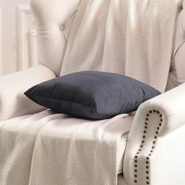 imageFY FIBER HOUSE Pack of 2 Velvet Throw Pillow Covers Christmas Decorative Square Pillowcase Soft Solid Cushion Case for SoFaCouch Use 20 x 20 Inch RedGrey