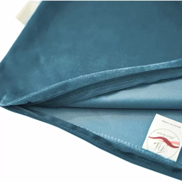 imageFY FIBER HOUSE Pack of 2 Velvet Throw Pillow Covers Christmas Decorative Square Pillowcase Soft Solid Cushion Case for SoFaCouch Use 20 x 20 Inch RedLight Blue