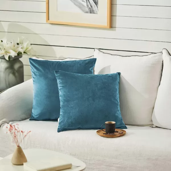imageFY FIBER HOUSE Pack of 2 Velvet Throw Pillow Covers Christmas Decorative Square Pillowcase Soft Solid Cushion Case for SoFaCouch Use 20 x 20 Inch RedLight Blue