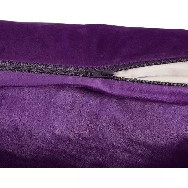 imageFY FIBER HOUSE Pack of 2 Velvet Throw Pillow Covers Christmas Decorative Square Pillowcase Soft Solid Cushion Case for SoFaCouch Use 20 x 20 Inch RedPurple