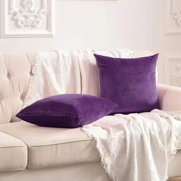 imageFY FIBER HOUSE Pack of 2 Velvet Throw Pillow Covers Christmas Decorative Square Pillowcase Soft Solid Cushion Case for SoFaCouch Use 20 x 20 Inch RedPurple
