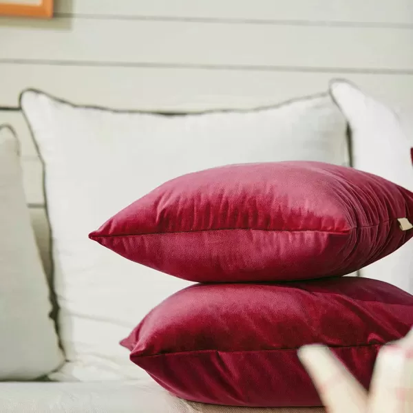 imageFY FIBER HOUSE Pack of 2 Velvet Throw Pillow Covers Christmas Decorative Square Pillowcase Soft Solid Cushion Case for SoFaCouch Use 20 x 20 Inch RedRed