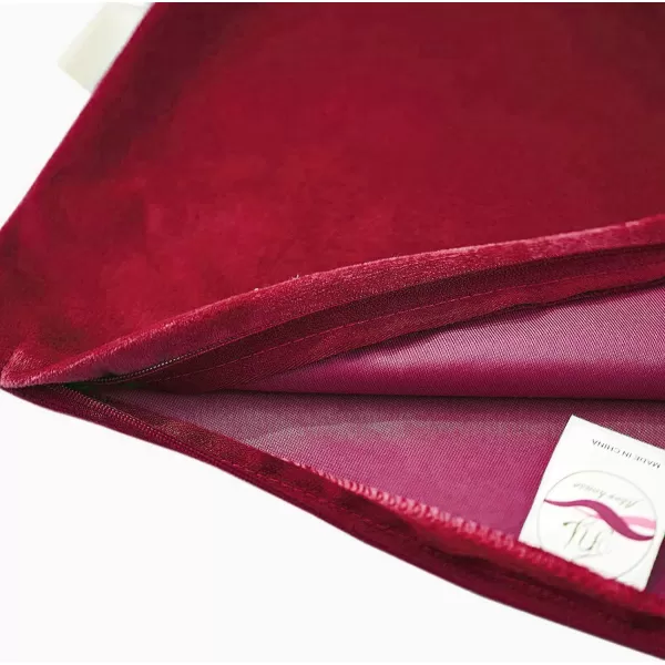 imageFY FIBER HOUSE Pack of 2 Velvet Throw Pillow Covers Christmas Decorative Square Pillowcase Soft Solid Cushion Case for SoFaCouch Use 20 x 20 Inch RedRed