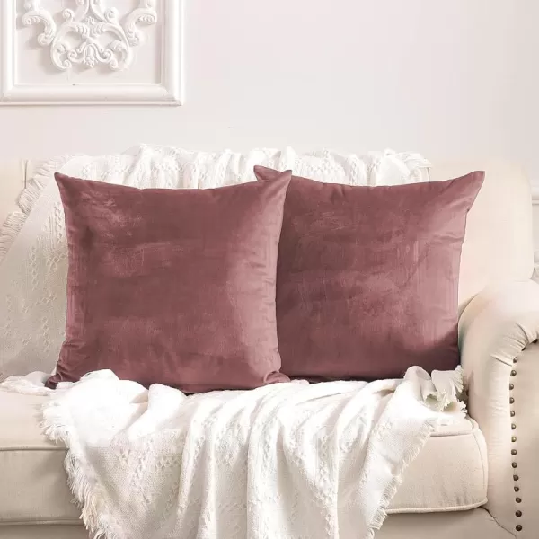 imageFY FIBER HOUSE Pack of 2 Velvet Throw Pillow Covers Christmas Decorative Square Pillowcase Soft Solid Cushion Case for SoFaCouch Use 20 x 20 Inch RedCanyon Rose