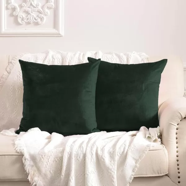 imageFY FIBER HOUSE Pack of 2 Velvet Throw Pillow Covers Christmas Decorative Square Pillowcase Soft Solid Cushion Case for SoFaCouch Use 20 x 20 Inch RedDark Green