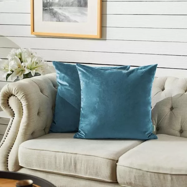 imageFY FIBER HOUSE Pack of 2 Velvet Throw Pillow Covers Christmas Decorative Square Pillowcase Soft Solid Cushion Case for SoFaCouch Use 20 x 20 Inch RedLight Blue