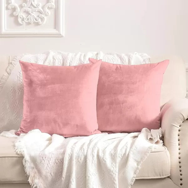 imageFY FIBER HOUSE Pack of 2 Velvet Throw Pillow Covers Christmas Decorative Square Pillowcase Soft Solid Cushion Case for SoFaCouch Use 20 x 20 Inch RedPink