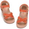 619-brown