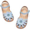 Fr311-blue