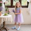 imageFlaryzone ToddlerLittle Girls Ballerina Flat Mary Jane Princess Dress Shoes  Wedding School PartyLight Bluefr11