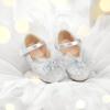 imageFlaryzone ToddlerLittle Girls Ballerina Flat Mary Jane Princess Dress Shoes  Wedding School PartySilverfm16