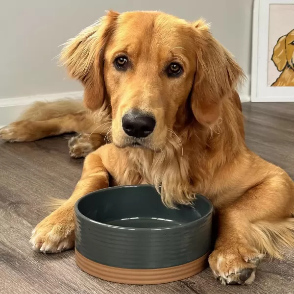 imageMora Ceramic Pet Bowl Size Medium  FoodWater Dish for Large Puppies Cats Retrievers Medium Sized Dogs ect 28oz or 4 Cups  Basic Bowls for Your Dog or Cat Mix and Match for a Set  CharcoalCharcoal