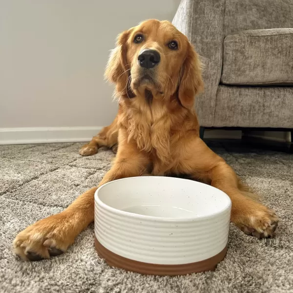 imageMora Ceramic Pet Bowl Size Medium  FoodWater Dish for Large Puppies Cats Retrievers Medium Sized Dogs ect 28oz or 4 Cups  Basic Bowls for Your Dog or Cat Mix and Match for a Set  CharcoalVanilla White