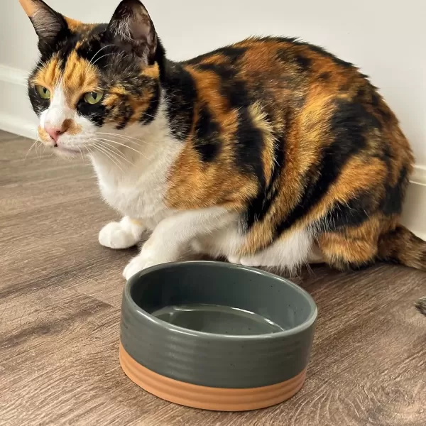 imageMora Ceramic Pet Bowl Size Medium  FoodWater Dish for Large Puppies Cats Retrievers Medium Sized Dogs ect 28oz or 4 Cups  Basic Bowls for Your Dog or Cat Mix and Match for a Set  CharcoalCharcoal