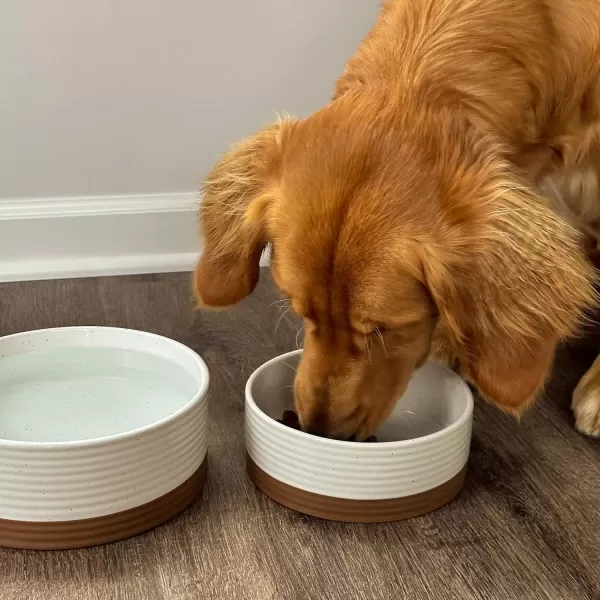 imageMora Ceramic Pet Bowl Size Medium  FoodWater Dish for Large Puppies Cats Retrievers Medium Sized Dogs ect 28oz or 4 Cups  Basic Bowls for Your Dog or Cat Mix and Match for a Set  CharcoalVanilla White
