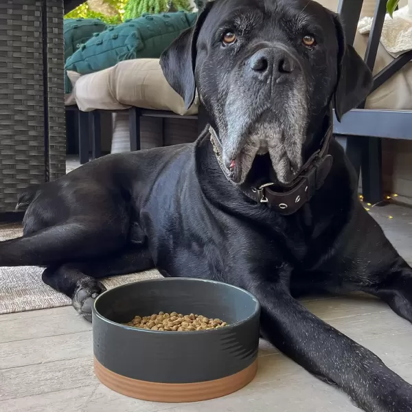 imageMora Ceramic Pet Bowl Size Medium  FoodWater Dish for Large Puppies Cats Retrievers Medium Sized Dogs ect 28oz or 4 Cups  Basic Bowls for Your Dog or Cat Mix and Match for a Set  CharcoalCharcoal