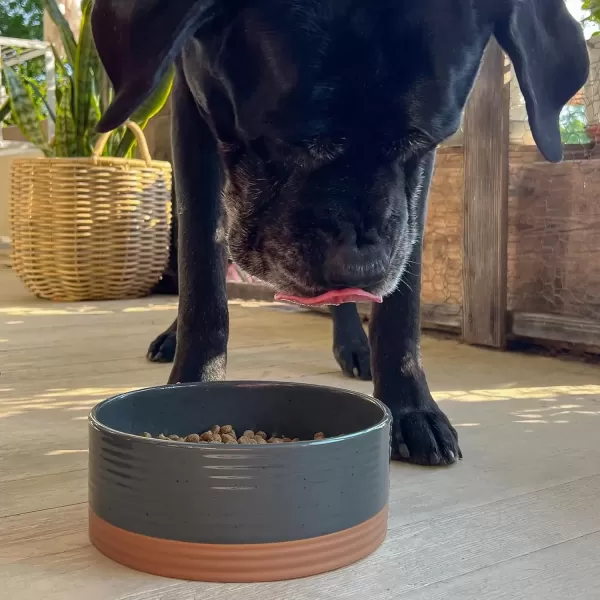 imageMora Ceramic Pet Bowl Size Medium  FoodWater Dish for Large Puppies Cats Retrievers Medium Sized Dogs ect 28oz or 4 Cups  Basic Bowls for Your Dog or Cat Mix and Match for a Set  CharcoalCharcoal