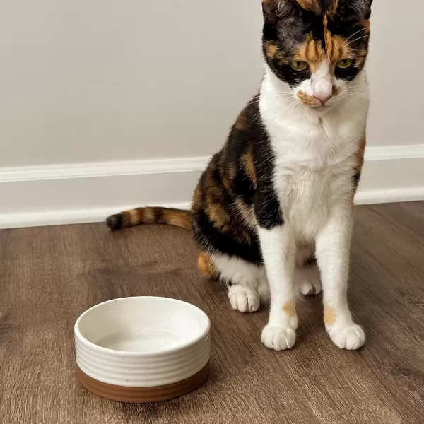 imageMora Ceramic Pet Bowl Size Medium  FoodWater Dish for Large Puppies Cats Retrievers Medium Sized Dogs ect 28oz or 4 Cups  Basic Bowls for Your Dog or Cat Mix and Match for a Set  CharcoalVanilla White