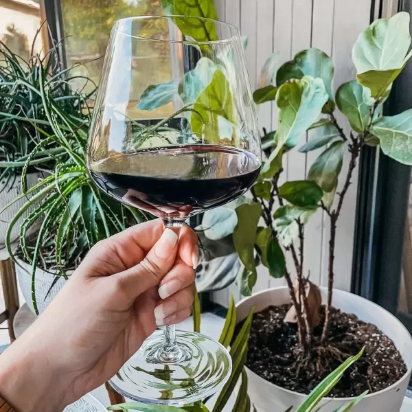 imageThe Henry Red Wine Glasses  Set of 2 25 oz Classic Oversized Hand Blown Crystal Glass Perfect for Drinking Burgundy Cabernet Sauvignon Shiraz Malbec Etc Unique Elegant ampamp LargeHenry 25oz  Set of 2