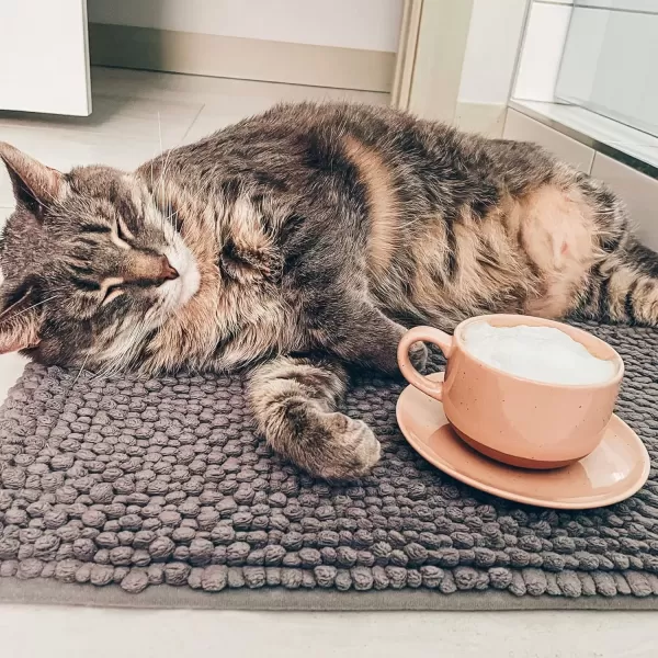 imageMora Ceramics 8oz Cappuccino Mug Set of 4  Ceramic Coffee Cups with Saucers  Microwave and Dishwasher Safe Perfect For Tea Espresso Latte  Porcelain Mugs for Kitchen or Cafe  Assorted NeutralsAssorted Neutral