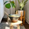 image:imageMORA Ceramic Ramen Bowl Set of 2 45oz  Great for Pho Miso Udon Soup Instant Noodles Serving Thai or Asian Food  Microwave Safe Large Japanese Noodle Bowls Modern Kitchen  MushroomCharcoal