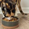 image:imageMora Ceramic Pet Bowl Size Large  FoodWater Dish for Large Dogs Cats Great Dane Mastiff ect 50oz or 8 Cups  Basic Bowls for Your Large Dog or Cat Mix and Match for a Set  OatCharcoal