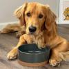image:imageMora Ceramic Pet Bowl Size Large  FoodWater Dish for Large Dogs Cats Great Dane Mastiff ect 50oz or 8 Cups  Basic Bowls for Your Large Dog or Cat Mix and Match for a Set  OatCharcoal