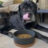 image:imageMora Ceramic Pet Bowl Size Large  FoodWater Dish for Large Dogs Cats Great Dane Mastiff ect 50oz or 8 Cups  Basic Bowls for Your Large Dog or Cat Mix and Match for a Set  OatCharcoal