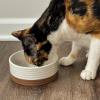 image:imageMora Ceramic Pet Bowl Size Large  FoodWater Dish for Large Dogs Cats Great Dane Mastiff ect 50oz or 8 Cups  Basic Bowls for Your Large Dog or Cat Mix and Match for a Set  OatVanilla White
