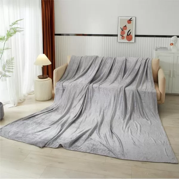Dearfoams Oversized Super Soft Royal Plush Velvet Family Blanket for All Seasons- 10' x 10'  - XL Blanket - Grey