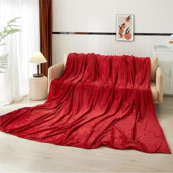 Dearfoams Oversized Super Soft Royal Plush Velvet Family Blanket for All Seasons- 10' x 10'  - XL Blanket - Grey