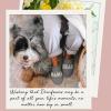 imageDearfoams Womens Christmas Gifts for Mom Cute Matching Family Pajama Mama Bear SlipperBlush Pink Fleece