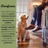 imageDearfoams Mens IndoorOutdoor Breathable Memory Foam Brendan Clog House Shoe Slipper with Wide WidthsCoffee Twill