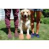 imageFireside by Dearfoams Mens Grafton Genuine Shearling IndoorOutdoor ClogBlack