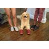 imageDearfoams Womens Kendra Sport Lounge Memory Foam Clog SlipperCabernet Nylon