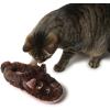 imageDearfoams UnisexChild Kids Toddlers Whimsical Animal Critter Washable SlipperCat