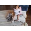 imageDearfoams Girls 2piece Loosefit Set Matching Family Holiday Pajamas Soft ampamp ComfortableCelestial Girl