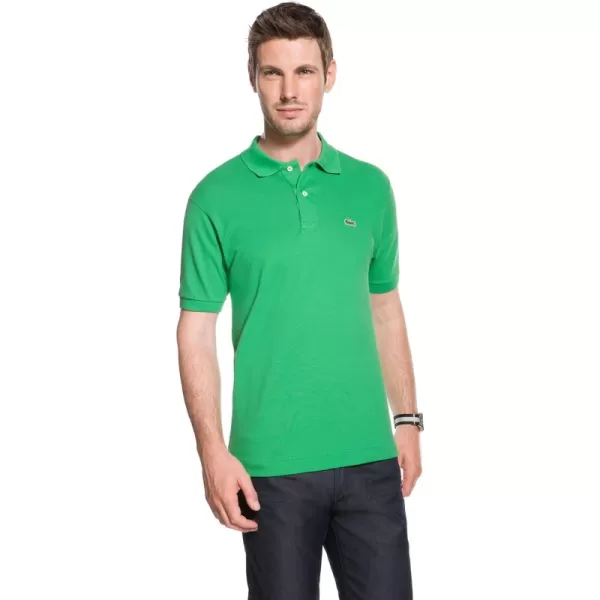 Chervil Green