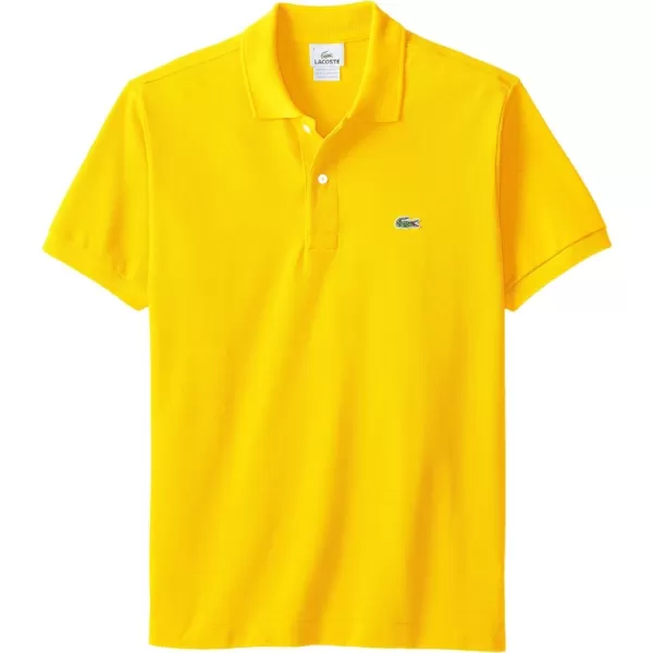 Forsynthia Yellow