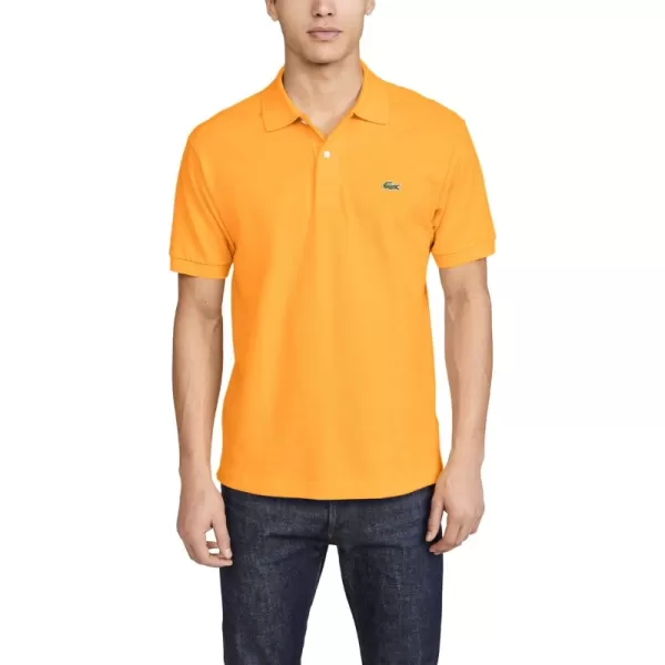 Holy Orange