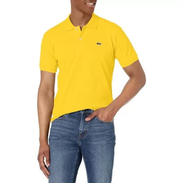Daffodil Yellow