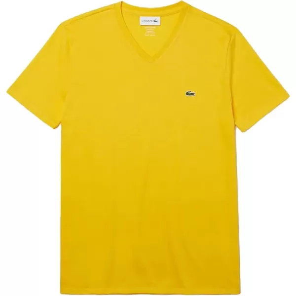 Forsynthia Yellow