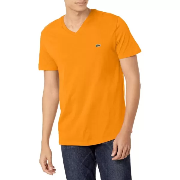 Lantern Orange