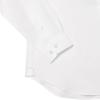 imageLacoste Mens Regular Fit Premium Cotton ShirtWhite